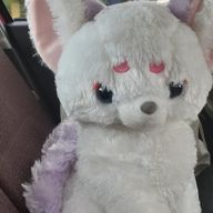 サクラさんのアイコン画像