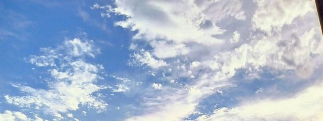 若鳴いとさんの壁紙画像