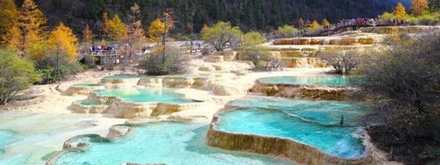 プリン@フォロバ絶対さんの壁紙画像