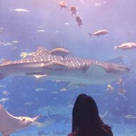 明Mei@低浮上「スランプ」さんのアイコン画像