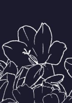 裏では2組の印象が真逆のようです