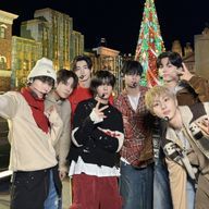 🥭さんのアイコン画像