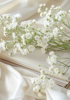  日記 ヲ 書ゐ弖  𓂃  𓈒 