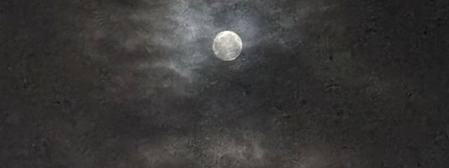 にせフライさんの壁紙画像