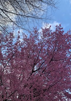 茲桧 明果専用部屋!!!