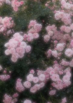 病名は愛