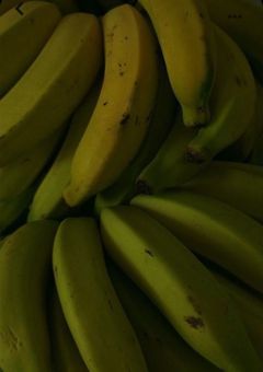 バナナ愛好家、愛されすぎて困ってます。