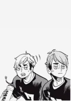 稲荷崎の "毒舌美少女" がばかメロすぎるんだが 。