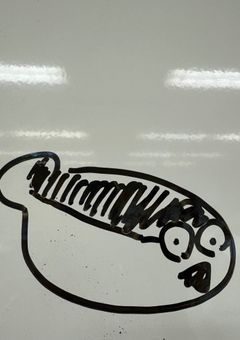 ☺︎勉強ほーこく部屋！☺︎