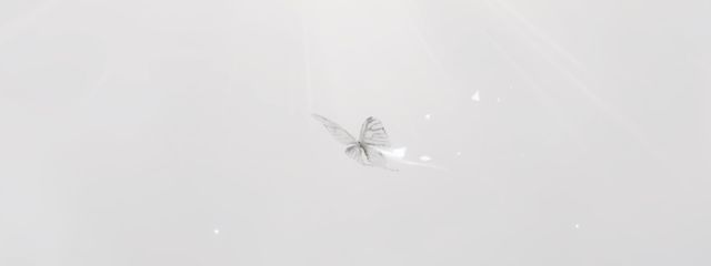 萌衣さんの壁紙画像