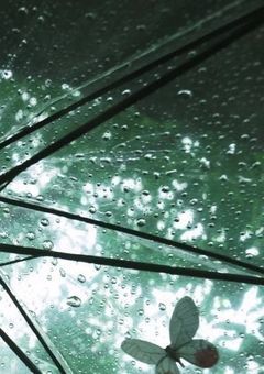 　‪❤︎‬ "　貴方はどれが好み　?　" ꒷꒦　