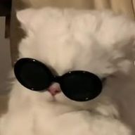 　ﾈ ｺ ﾒ  .さんのアイコン画像