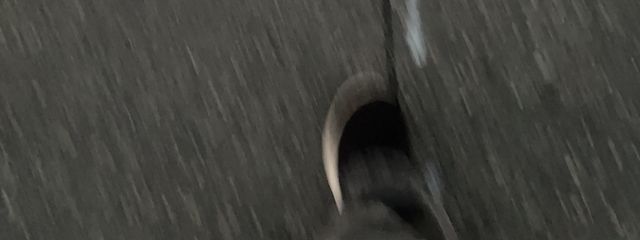 めりかさんの壁紙画像