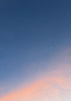 し ゃ し ん．