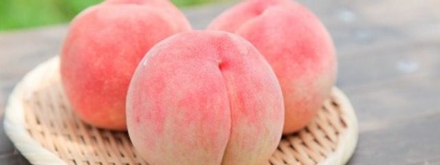 阿久戸楓花さんの壁紙画像