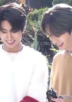 Fate＿［偶然の運命］