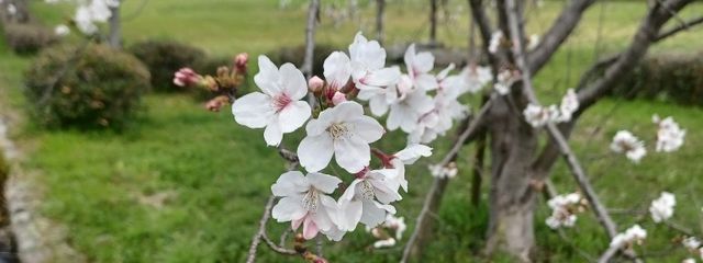 ﾗヴィ~ちｬん♡さんの壁紙画像