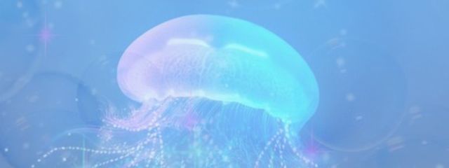 むいさんの壁紙画像