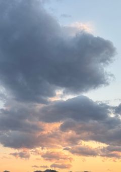 この夏、いなくなる君と