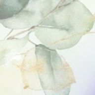 reitoさんのアイコン画像