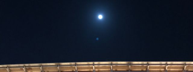 ～柴犬～低浮上マンさんの壁紙画像