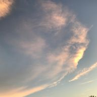 ~柴犬~低浮上マンさんのアイコン画像