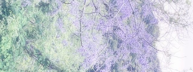 萊   結   🍵   .*˚   さんの壁紙画像