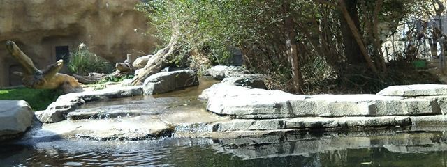 りょぴさんの壁紙画像