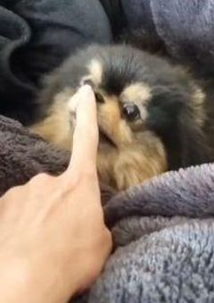 うし！韓国語やろう！