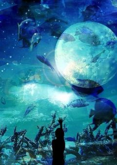 House sparrow・Fennel