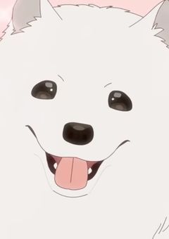 いつか君に