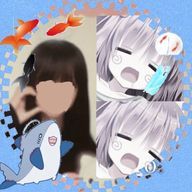 ぬいちゃん㌨さんのアイコン画像