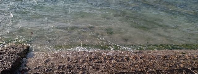 らこさんの壁紙画像