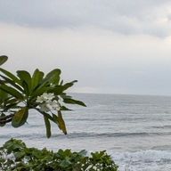 うみさんのアイコン画像