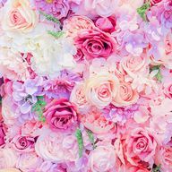 ろずさんのアイコン画像