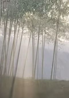 魔法使いが見つけた奴隷は超絶可愛い子で依存気味の溺愛をされました！！
