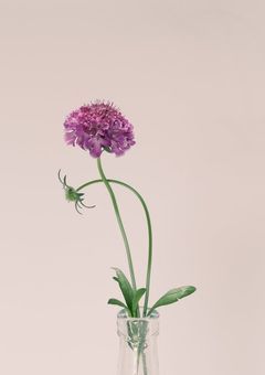 3/17