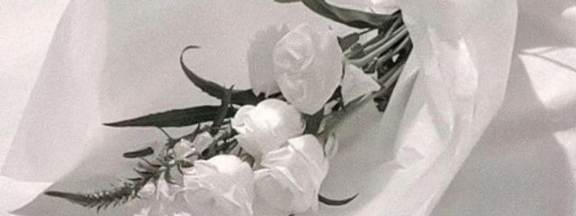 𝓣_ 𝓗さんの壁紙画像