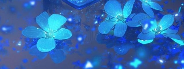 すいさんの壁紙画像