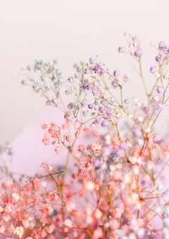 SixTONESのツンデレさん