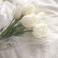 さくらさんのアイコン画像