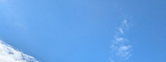 Himari🌻さんの壁紙画像