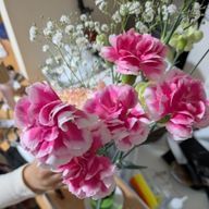 Himari🌻さんのアイコン画像