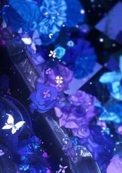 無垢で可愛い哀れな貴女への贈り物