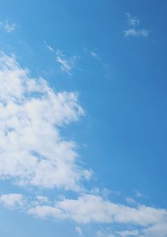 ゆずちゃん専用部屋