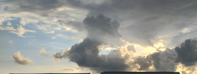 𝒮𝒪ฅ^•ﻌ•^ฅℛ𝒜 🐙🧡💛さんの壁紙画像