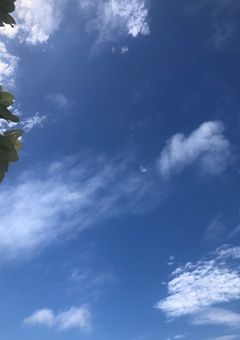 気の向くままなんか書く