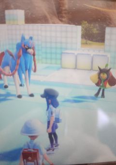 ポケモンのBP集めやりましょー