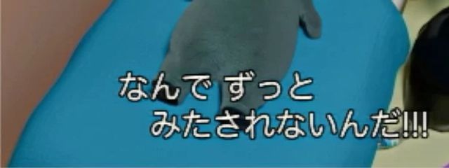  ︎ ︎る ︎ ︎ ︎~ ︎ ︎ ︎た ︎  ︎ ︎୨୧さんの壁紙画像