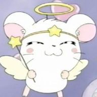 ︎ ︎る ︎ ︎ ︎~ ︎ ︎ ︎た ︎ ︎ ︎୨୧さんのアイコン画像